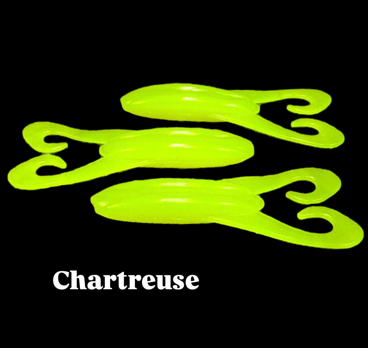 Curly Tail Frogs