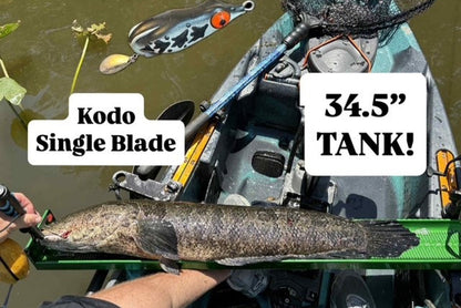 Kodo