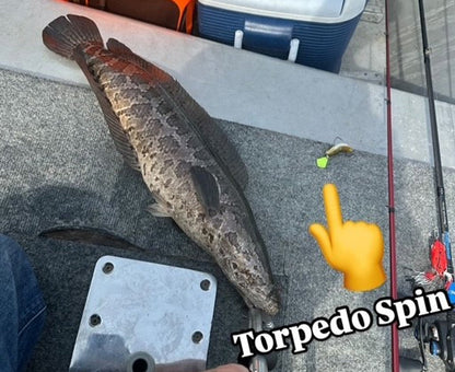Torpedo Spin